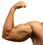 arm wrestling training, arm wrestling workouts, armwrestling clubs